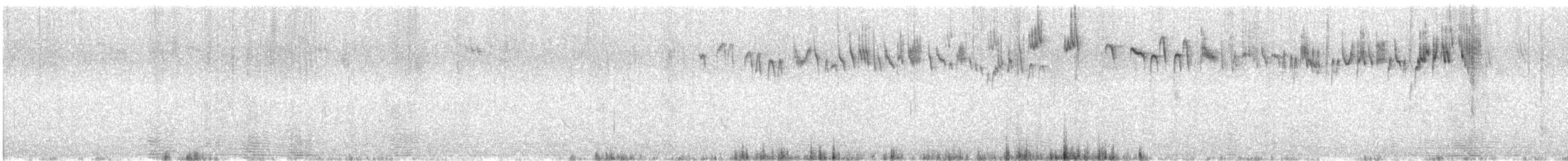 Southern Emuwren - ML646354032