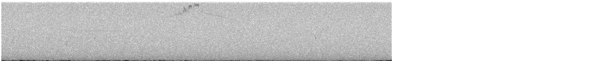 Colibrí de Costa - ML646354086