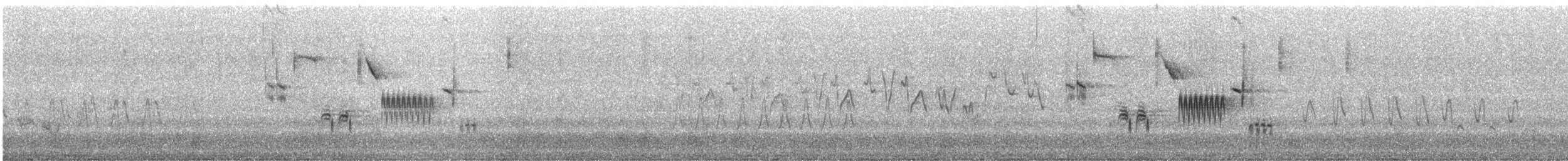 Black-faced Bunting - ML646354113