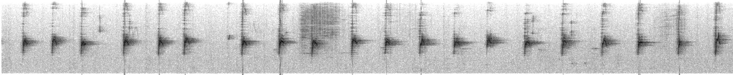 White-throated Sparrow - ML646354135