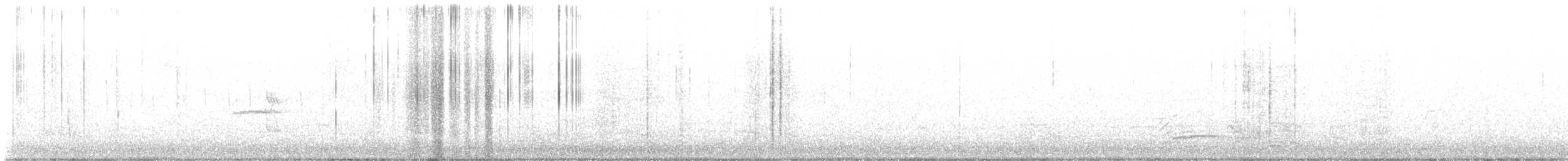Northern Beardless-Tyrannulet - ML646354175