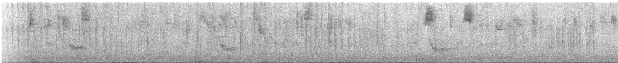 House Sparrow - ML646354382