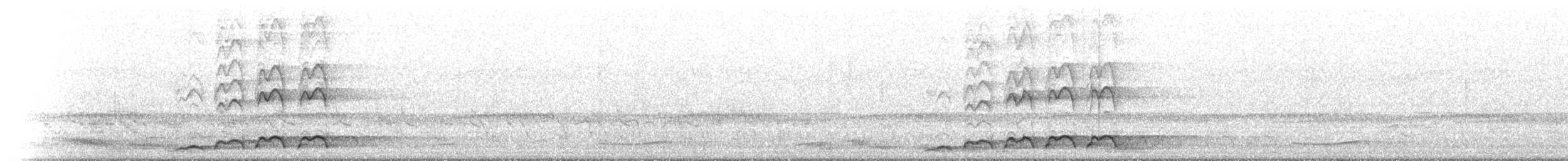 Coucou bleuté - ML646354494