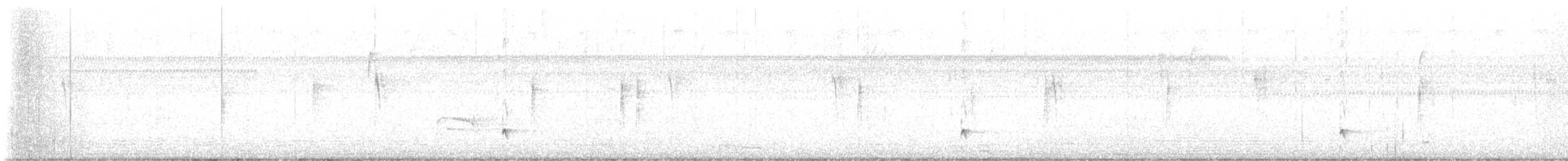 Ash-throated Flycatcher - ML646354644