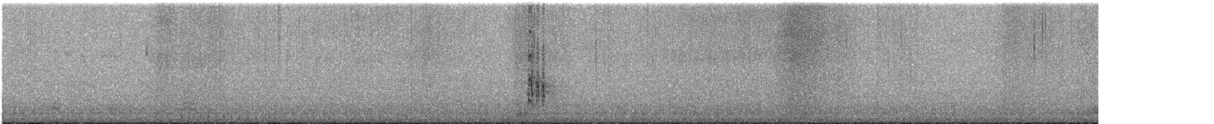 White-headed Woodpecker - ML646354732