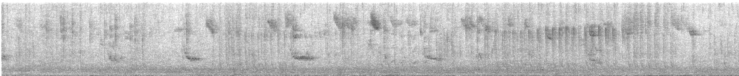 oiseau sp. - ML646354805