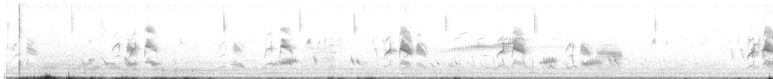 Synallaxe albane - ML646354999