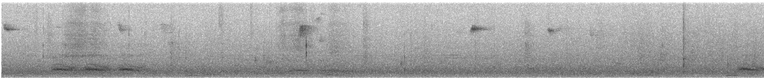 Corneille d'Amérique - ML646355112