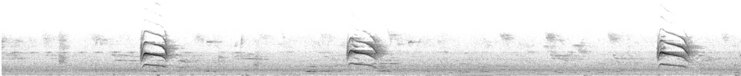 Tyran quiquivi - ML646355123