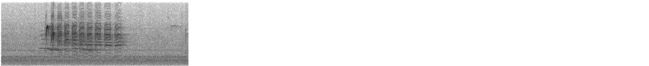 Pico Pubescente - ML646355369