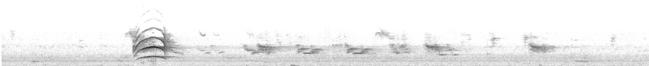 storkiskadi - ML646355607