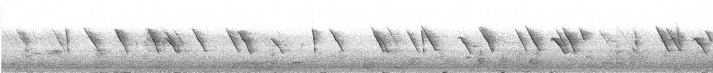 vlaštovka modrobílá - ML646356300