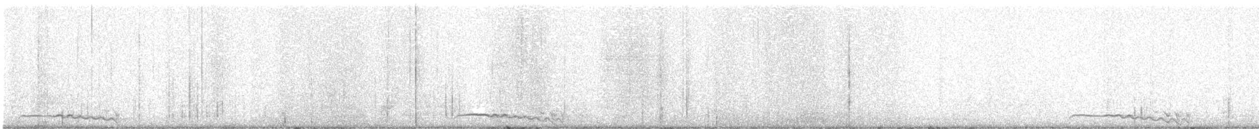 výreček americký - ML646356308