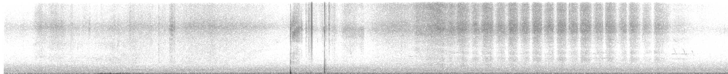 sojka chocholatá - ML646356323