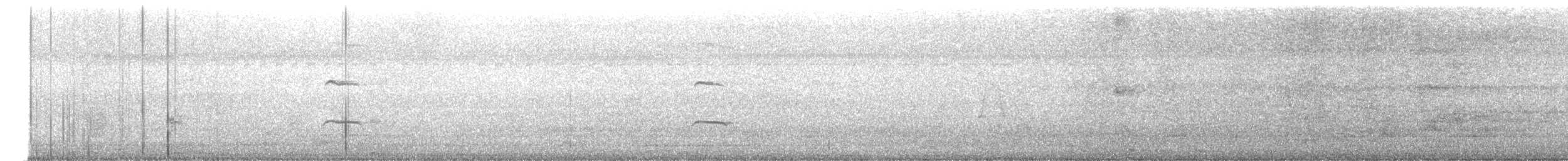 Indian Gray Hornbill - ML646356604