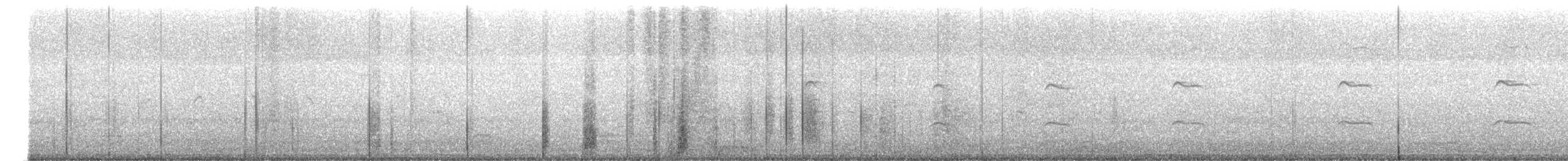 Indian Gray Hornbill - ML646356605