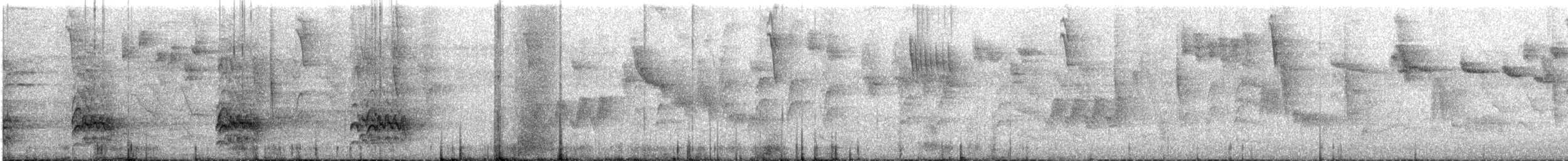 Black-cheeked Woodpecker - ML646356642