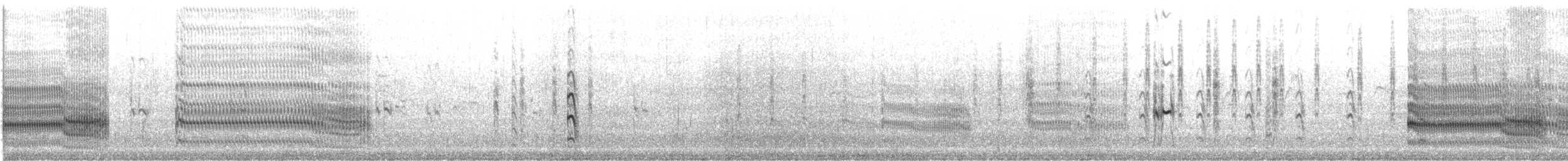 Common Tern - ML646357065