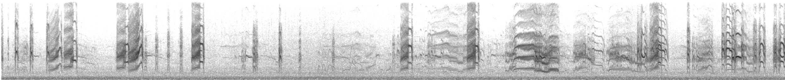 Least Tern - ML646357164