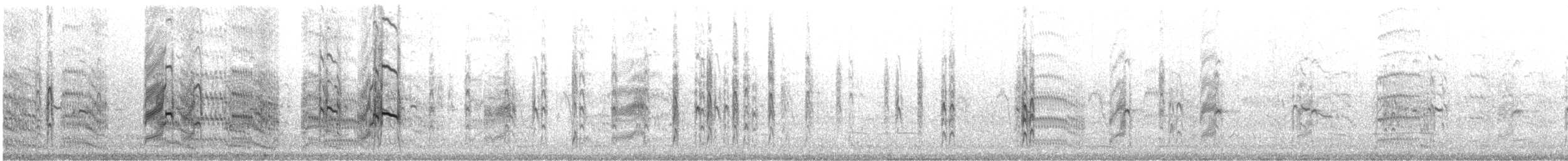Крячок карибський - ML646357172
