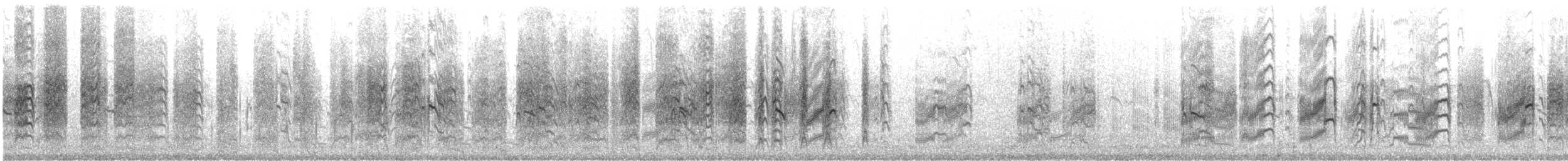 Least Tern - ML646357173