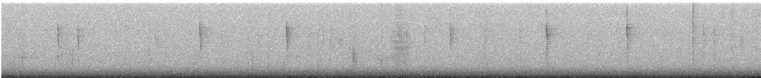 střízlík pacifický - ML646357307