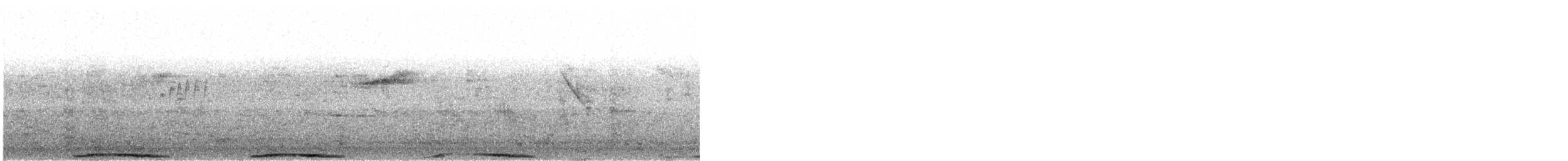 יונת בית - ML646357731