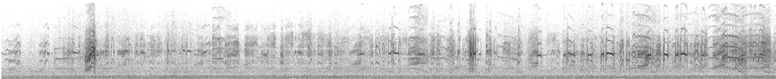 Крячок карибський - ML646357757