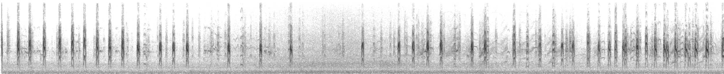 rybák nejmenší - ML646357760