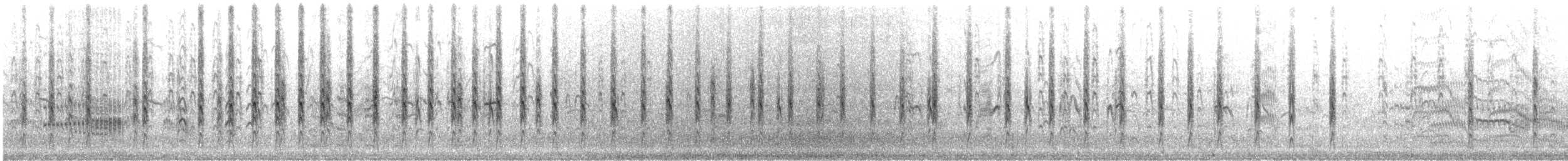 rybák nejmenší - ML646357761