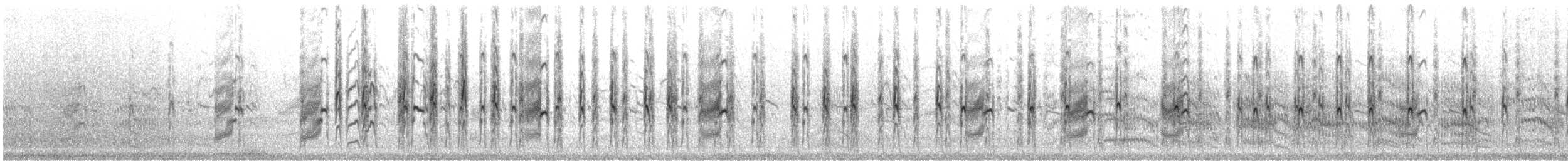 rybák nejmenší - ML646357762