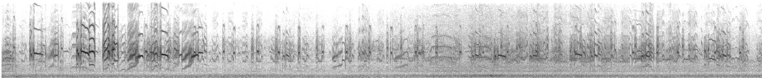 Крячок карибський - ML646357763