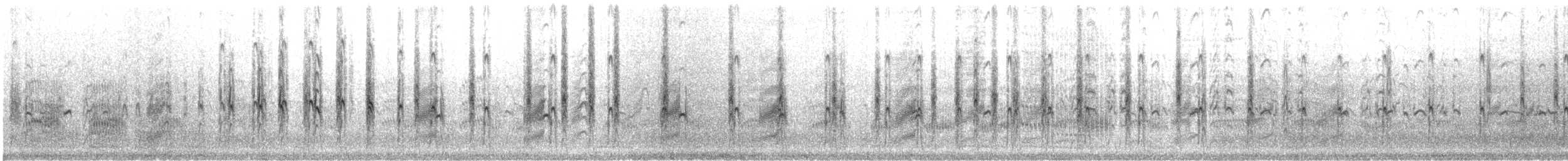 rybák nejmenší - ML646357764