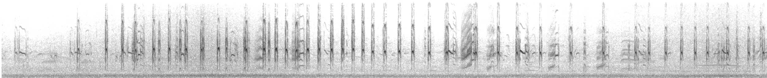 rybák nejmenší - ML646357765