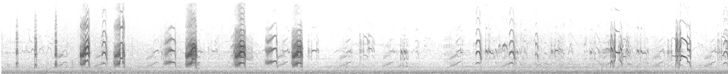 rybák nejmenší - ML646357767