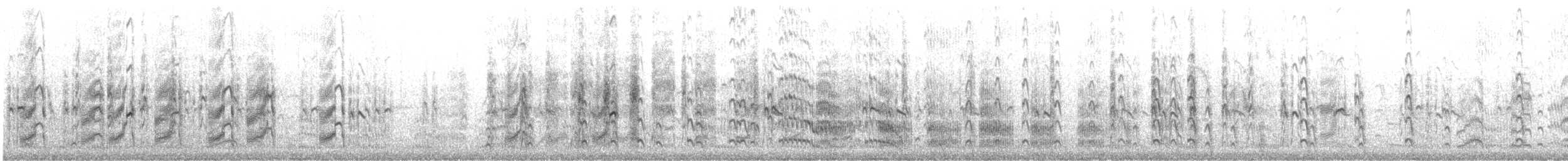 rybák nejmenší - ML646357768