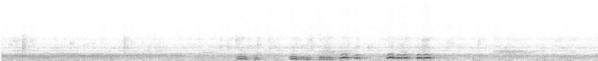 puštík africký - ML646357859