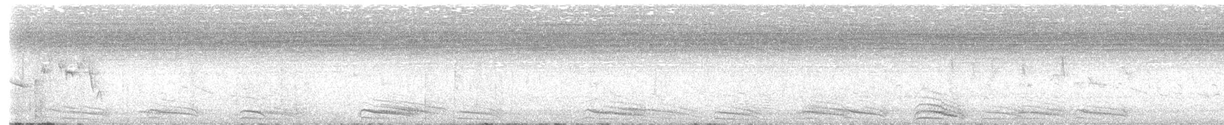 sparák šedý - ML646358034