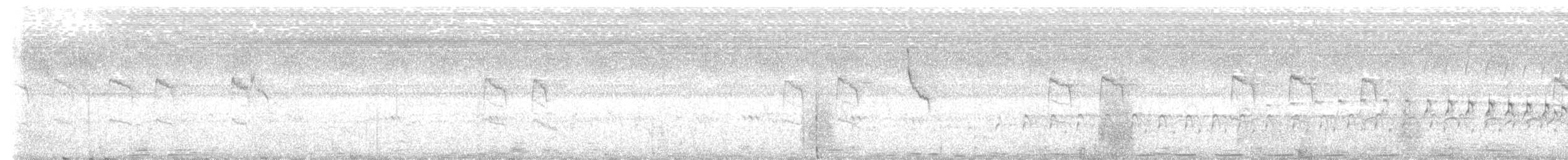 dytík vodní - ML646358038