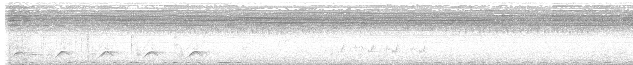 Black-backed Puffback - ML646358114