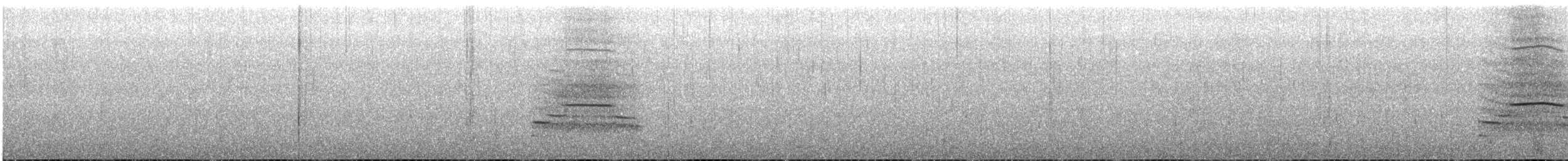 kachna měkkozobá - ML646358268