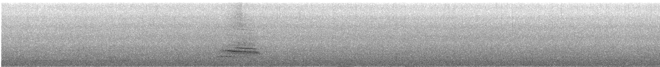 kachna měkkozobá - ML646358275