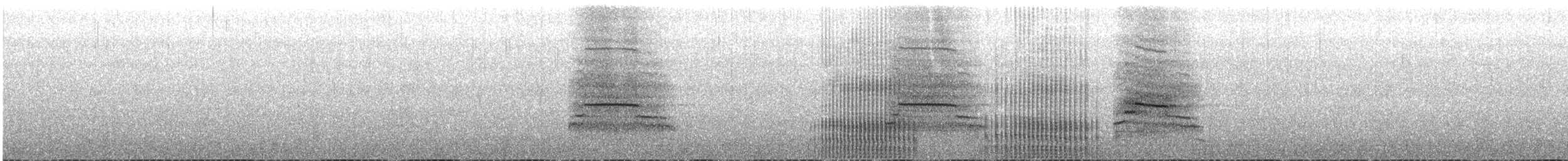 kachna měkkozobá - ML646358282