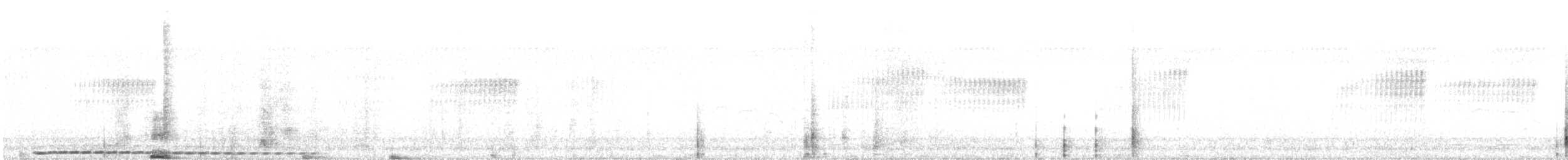 kukačka bělobrvá - ML646358341