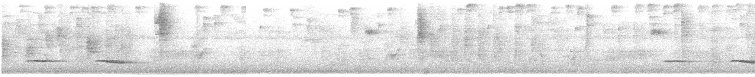 Chestnut-backed Antbird - ML646358359