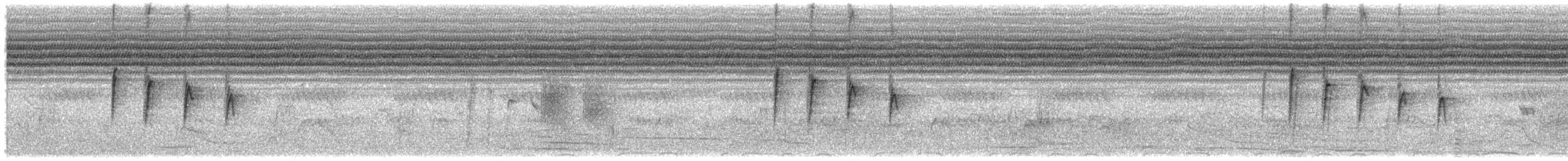 Ashy Flycatcher - ML646358381