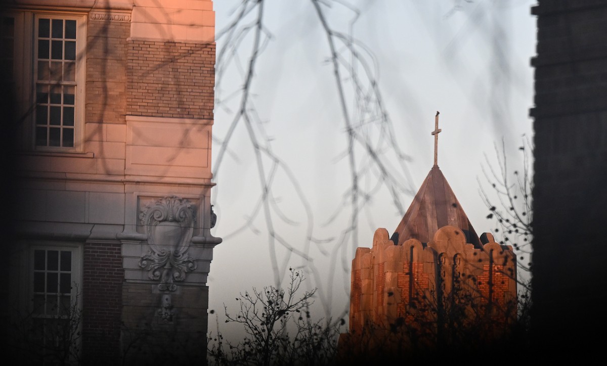 Merlin - ML646358477