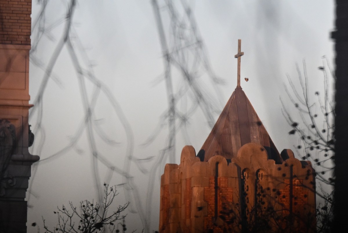 Merlin - ML646358478