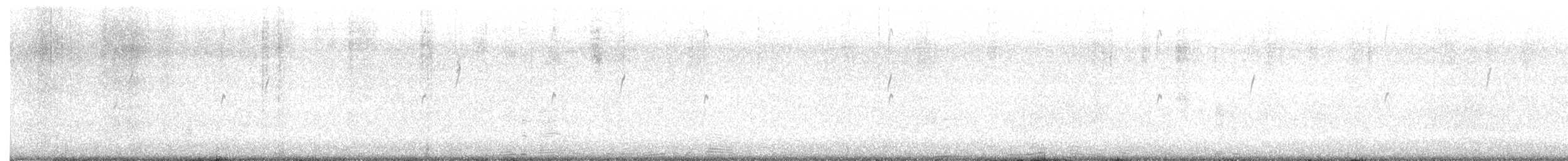 Austral Negrito - ML646358742