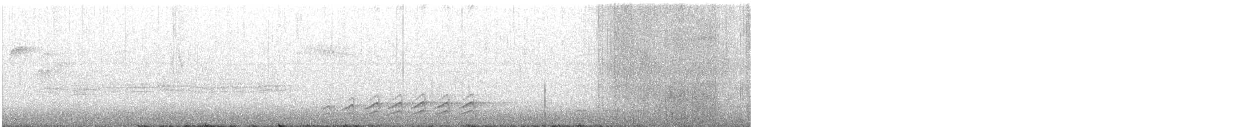 brhlík běloprsý - ML646359201